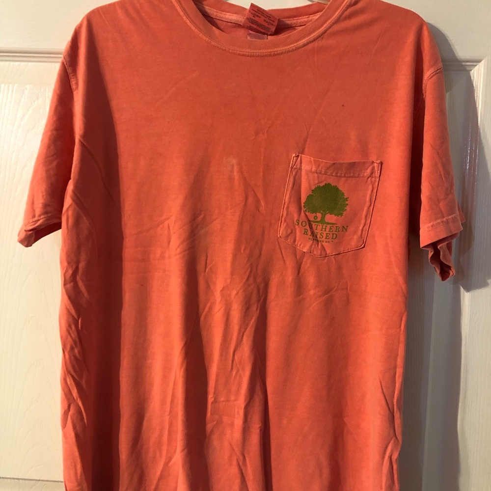 2 Pack Comfort Color Short Sleeve T Shirts